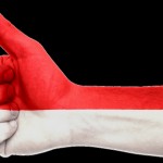 インドネシアの国旗色に塗った手の画像